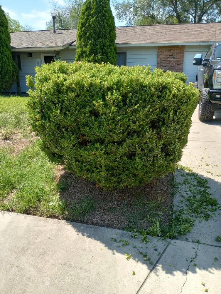 Expert yard maintenance experts serving San Antonio, TX - V&E Landscaping And Lawn Care