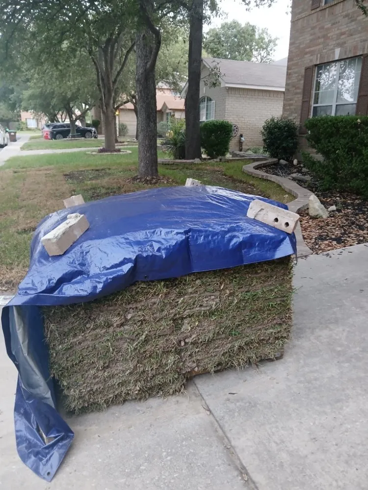 Reliable landscape design experts serving San Antonio, TX - V&E Landscaping And Lawn Care