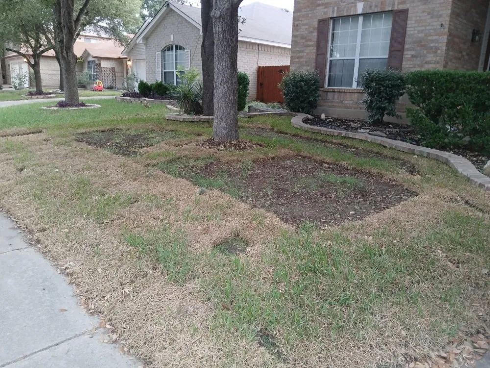 Trusted lawn care service in San Antonio, TX - V&E Landscaping And Lawn Care