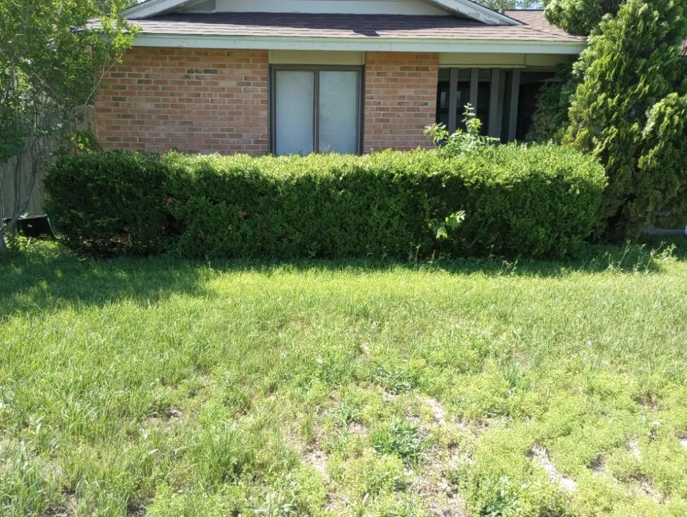 Trusted garden landscaping in San Antonio, TX by V&E Landscaping And Lawn Care