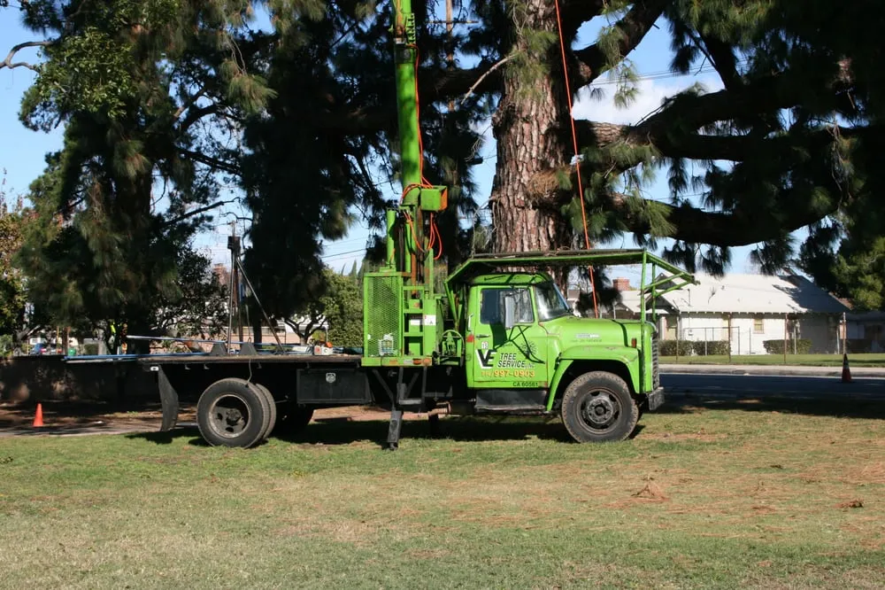 Local residential landscaping experts serving Orange, CA - V&E Tree Service