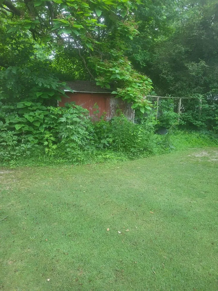 Professional garden landscaping in West Frankfort, IL - Veach Property Services