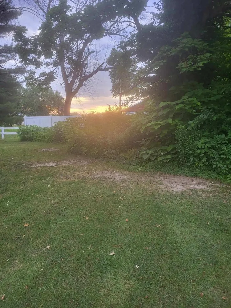 Top-rated landscape installation experts serving West Frankfort, IL - Veach Property Services