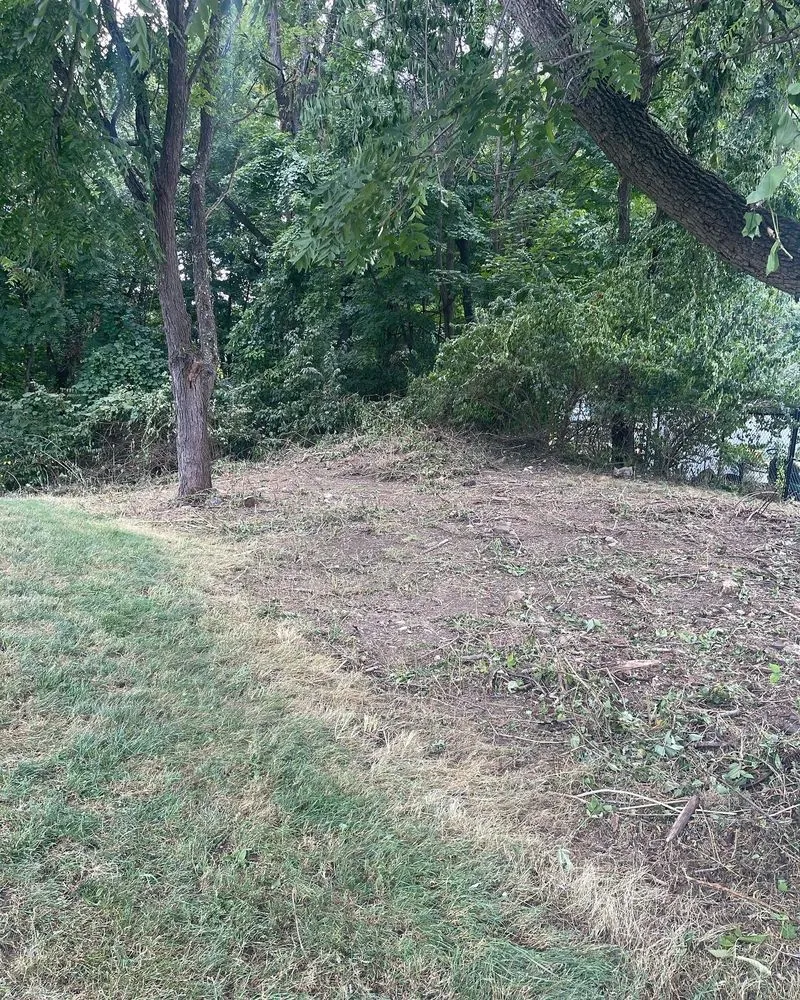 Trusted landscape design near you in Sussex, NJ by Vealey Landscaping