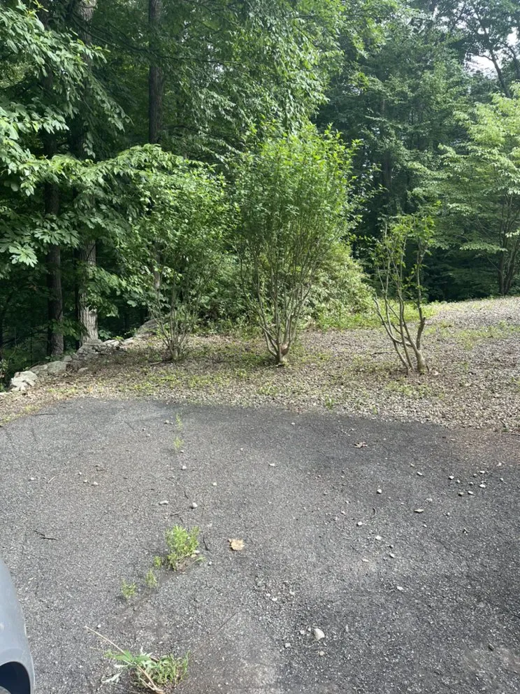 Affordable yard maintenance in Sussex, NJ by Vealey Landscaping