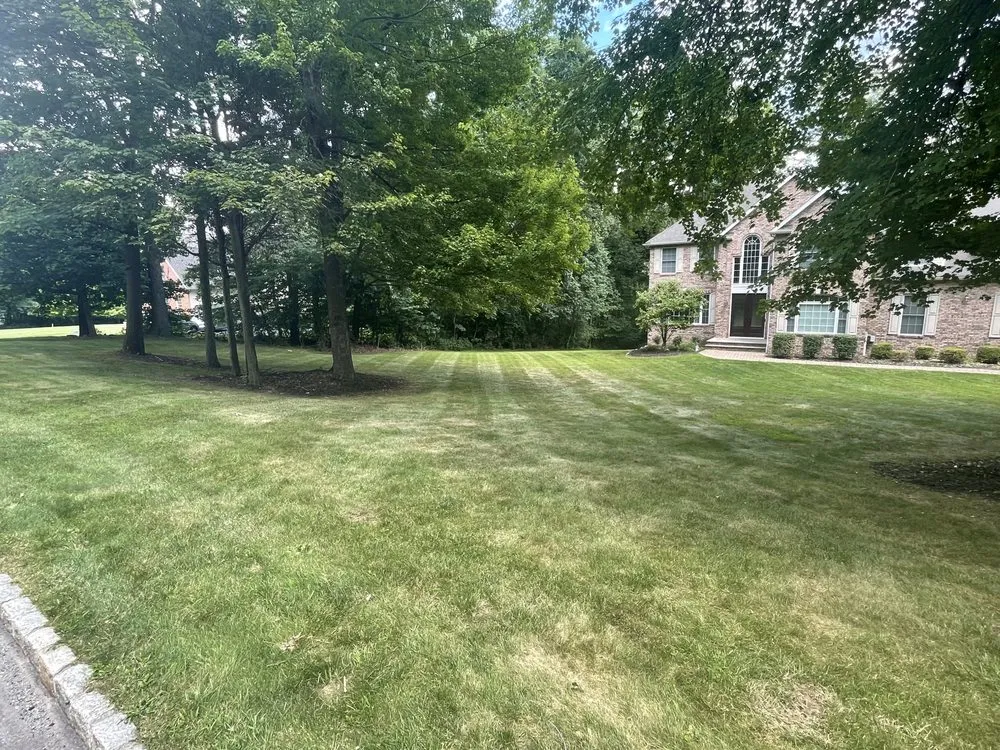 Custom yard cleanup service in Sussex, NJ by Vealey Landscaping