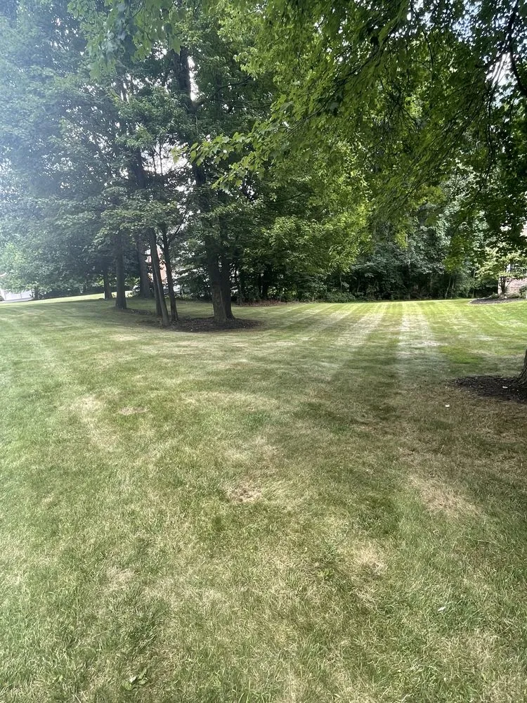 Professional yard cleanup service near you in Sussex, NJ by Vealey Landscaping