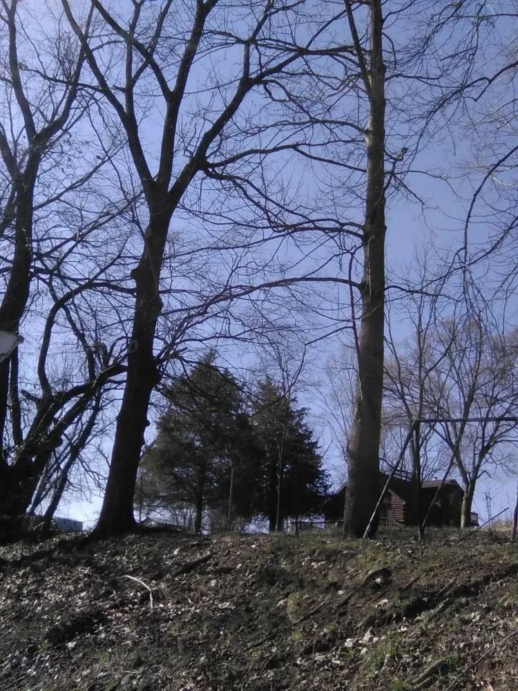 Expert landscaping services for homes across Erwin, TN - Veatch & Sons Tree & Lawn Services