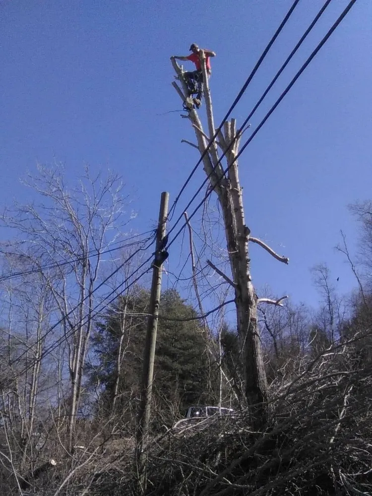 Affordable lawn care service in Erwin, TN by Veatch & Sons Tree & Lawn Services