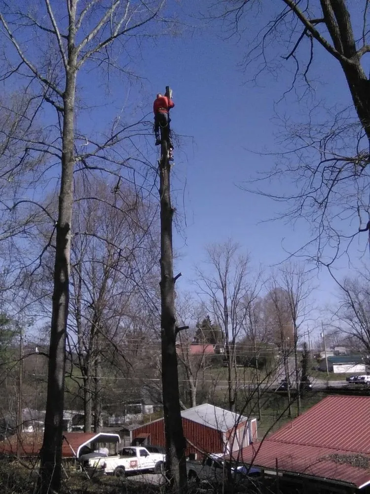 Custom residential landscaping in Erwin, TN by Veatch & Sons Tree & Lawn Services