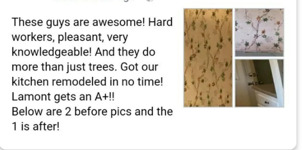 Professional residential landscaping in Erwin, TN by Veatch & Sons Tree & Lawn Services