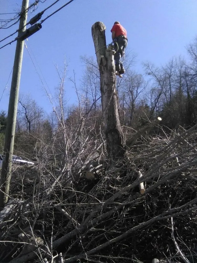 Expert landscape design with custom design in Erwin, TN by Veatch & Sons Tree & Lawn Services