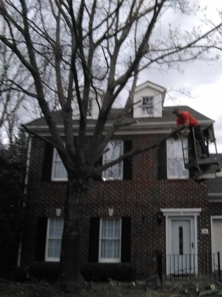 Local landscape design for outdoor upgrades in Erwin, TN by Veatch & Sons Tree & Lawn Services