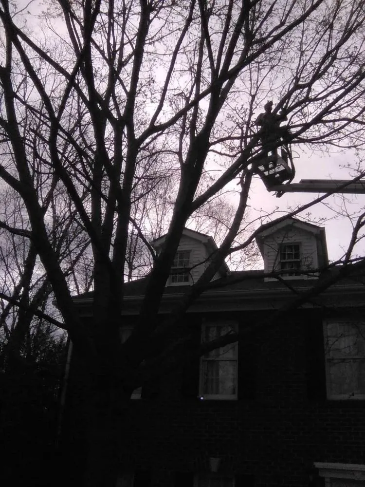 Top-rated landscape design in Erwin, TN - Veatch & Sons Tree & Lawn Services