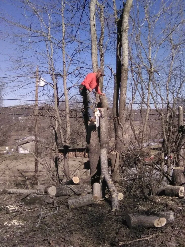 Custom residential landscaping in Erwin, TN by Veatch & Sons Tree & Lawn Services