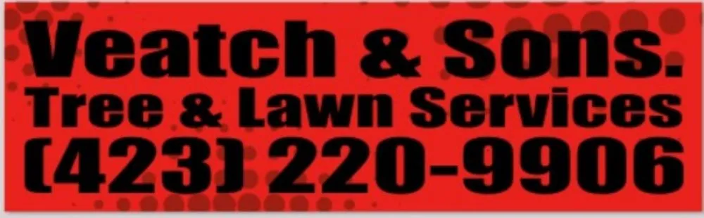 Professional outdoor landscaping in Erwin, TN - Veatch & Sons Tree & Lawn Services