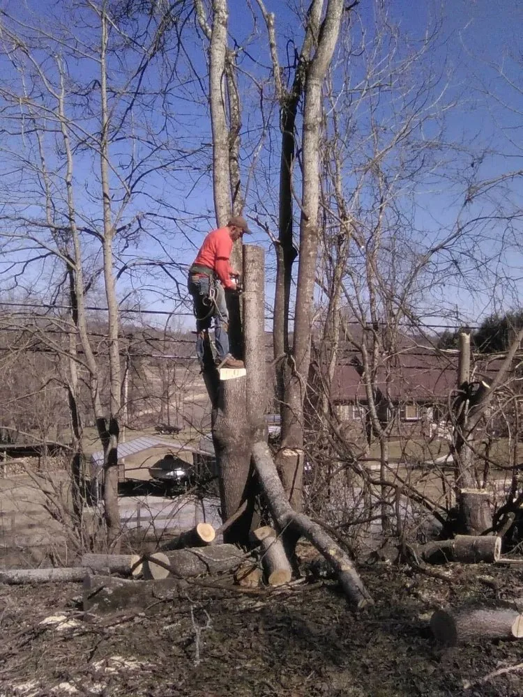 Professional lawn mowing service for homes in Erwin, TN by Veatch & Sons Tree & Lawn Services