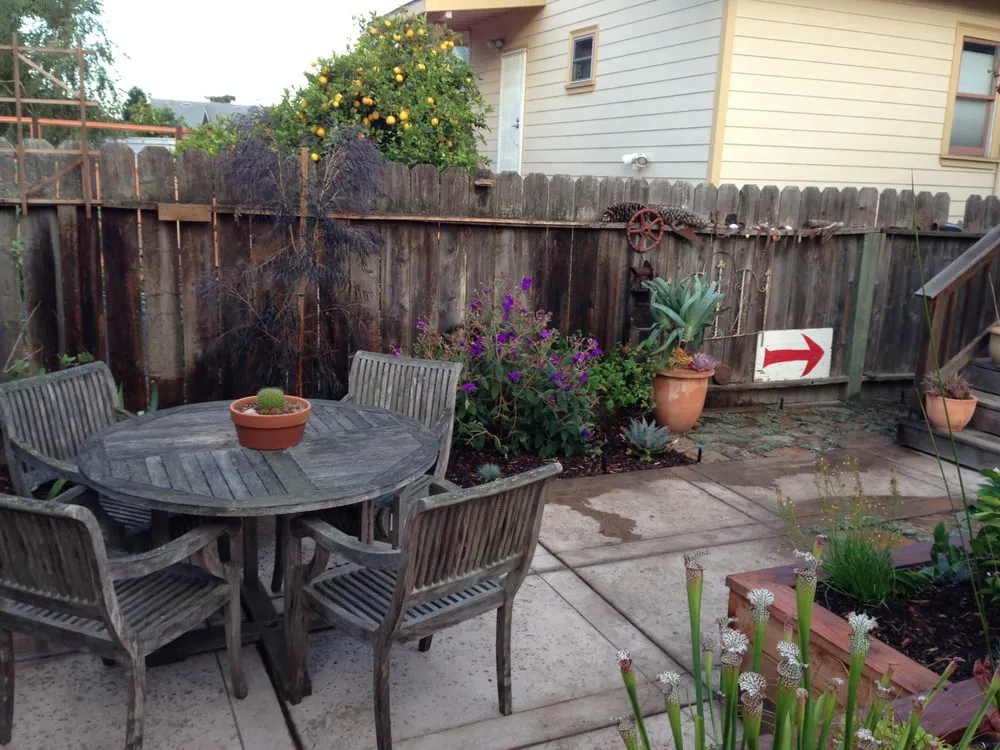 Custom lawn care service in Albany, CA - Vee Horticulture