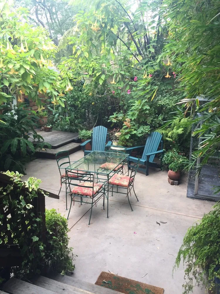 Custom landscape installation in Albany, CA - Vee Horticulture