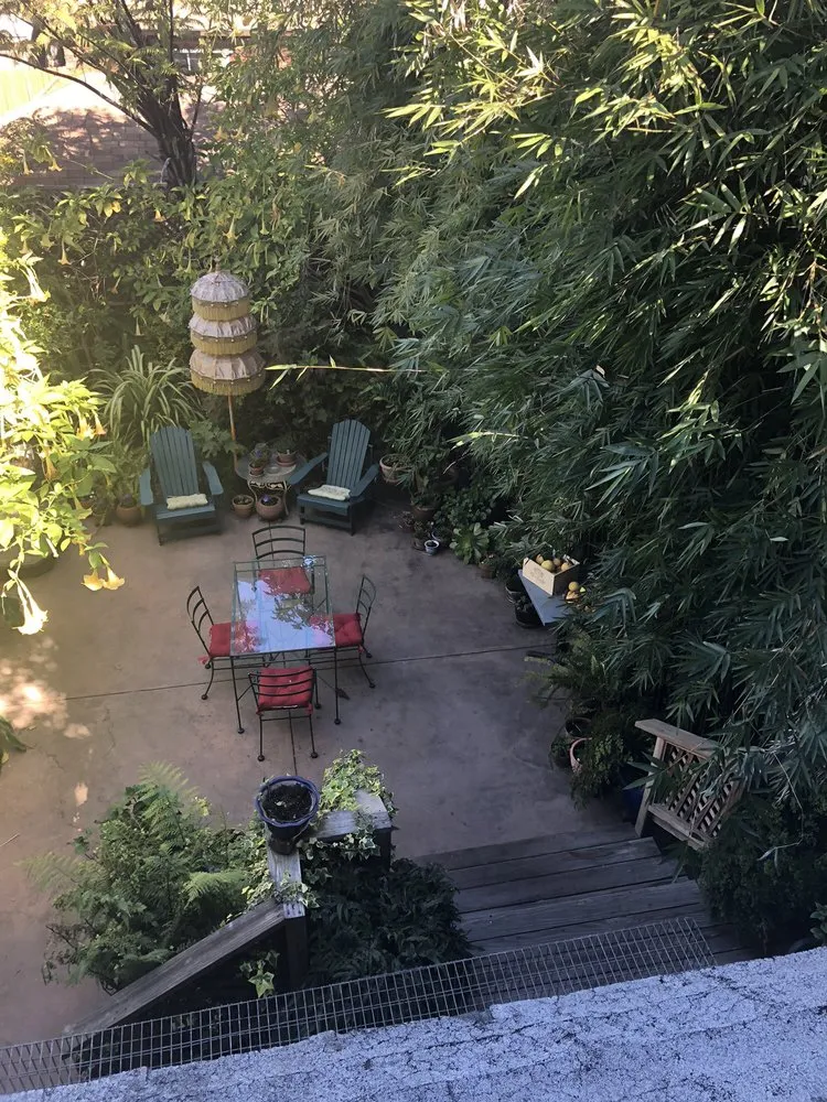 Reliable yard cleanup service experts serving Albany, CA - Vee Horticulture