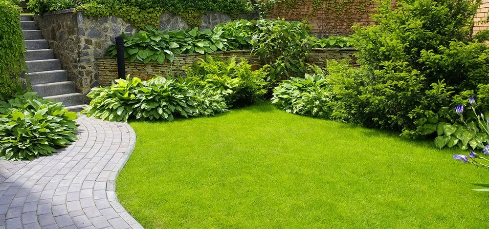 Reliable yard cleanup service in Orlando, FL - Vees And Company Lawn Care