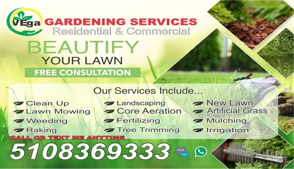 Custom yard maintenance in Alameda, CA by Vega Gardening services