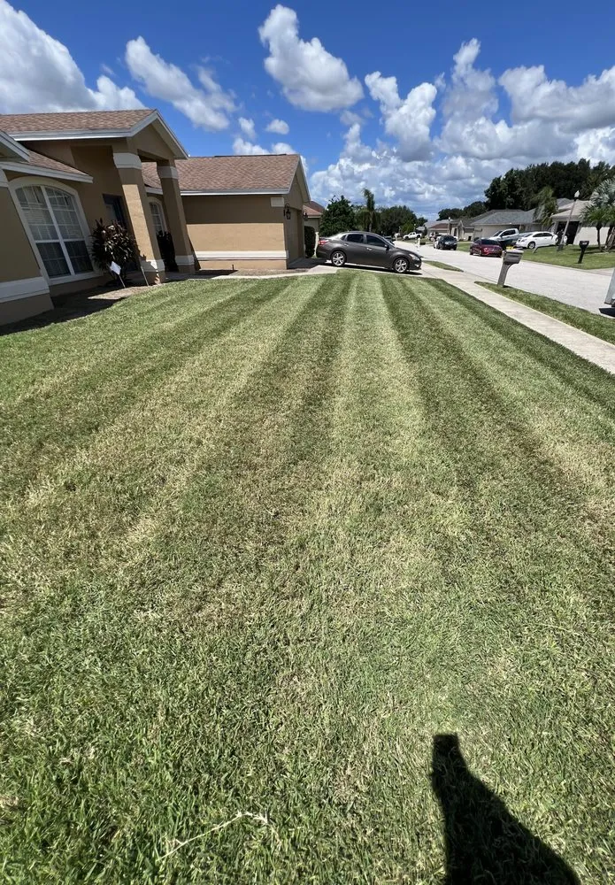 Reliable residential landscaping for homes across Eloise, FL - Vega Landscape & Hardscape