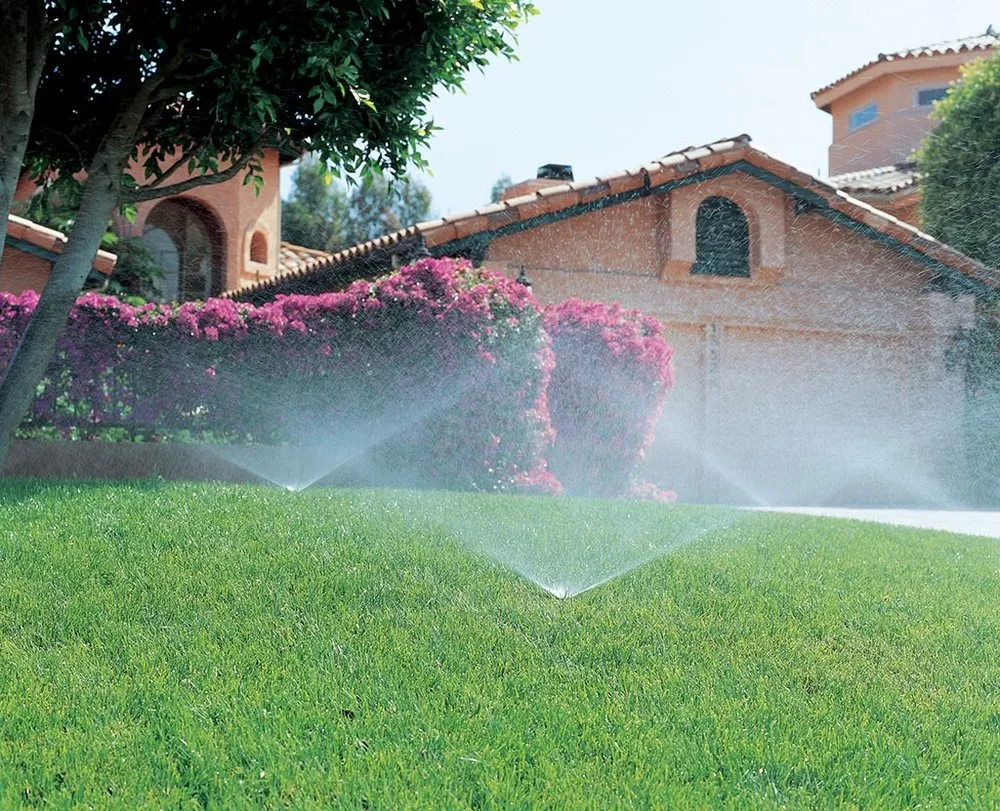 Custom landscape design in Bradenton, FL - Vega Landscape & Irrigation