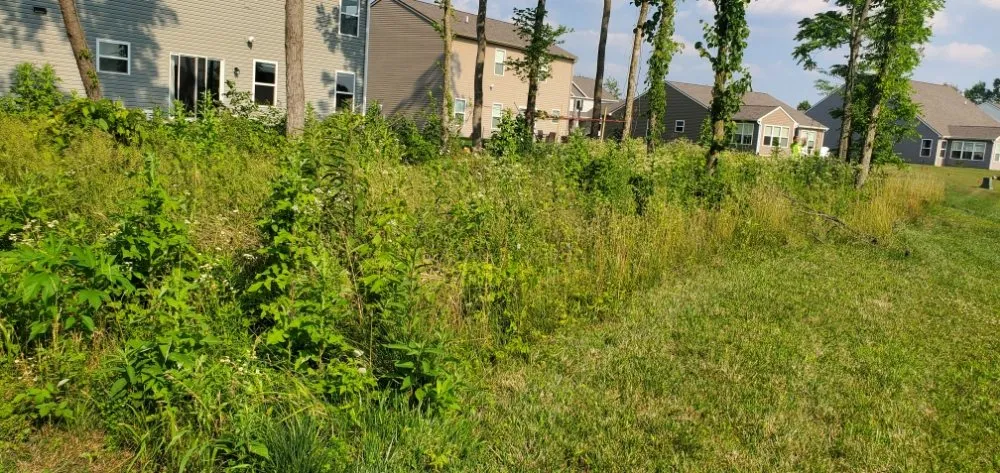 Top-rated yard cleanup service in Fort Wayne, IN by Vega landscape services