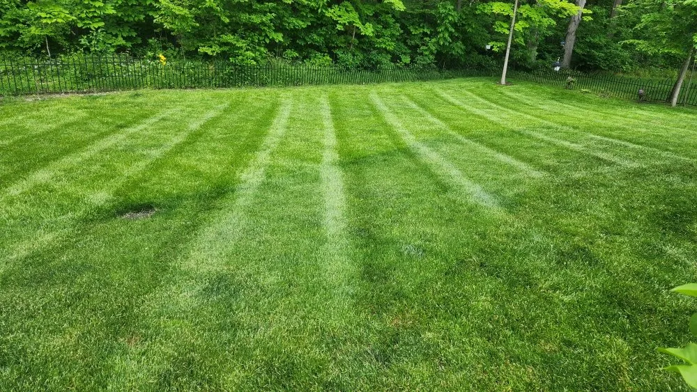 Top-rated landscape design experts serving Fort Wayne, IN - Vega landscape services