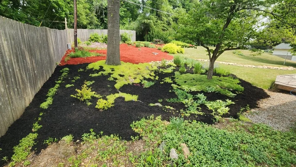 Reliable landscaping services experts serving Fort Wayne, IN - Vega landscape services