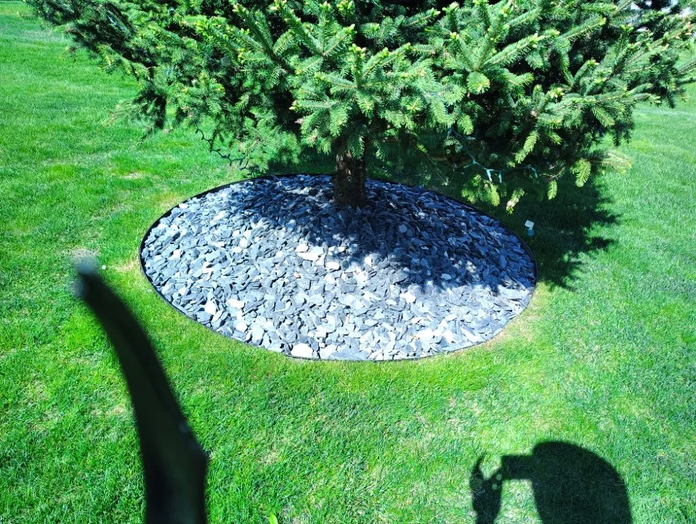 Affordable lawn care service in Holland, MI - Vega Landscaping & Lawn Care
