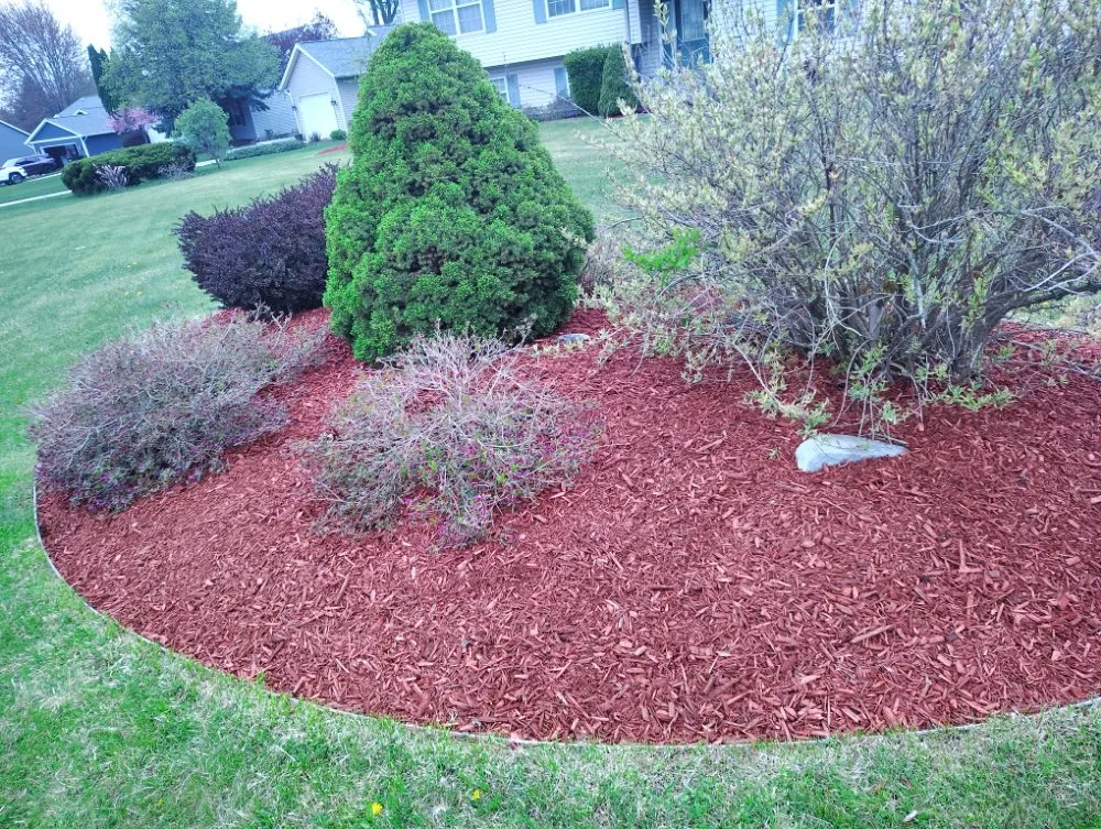 Local landscaping services in Holland, MI - Vega Landscaping & Lawn Care