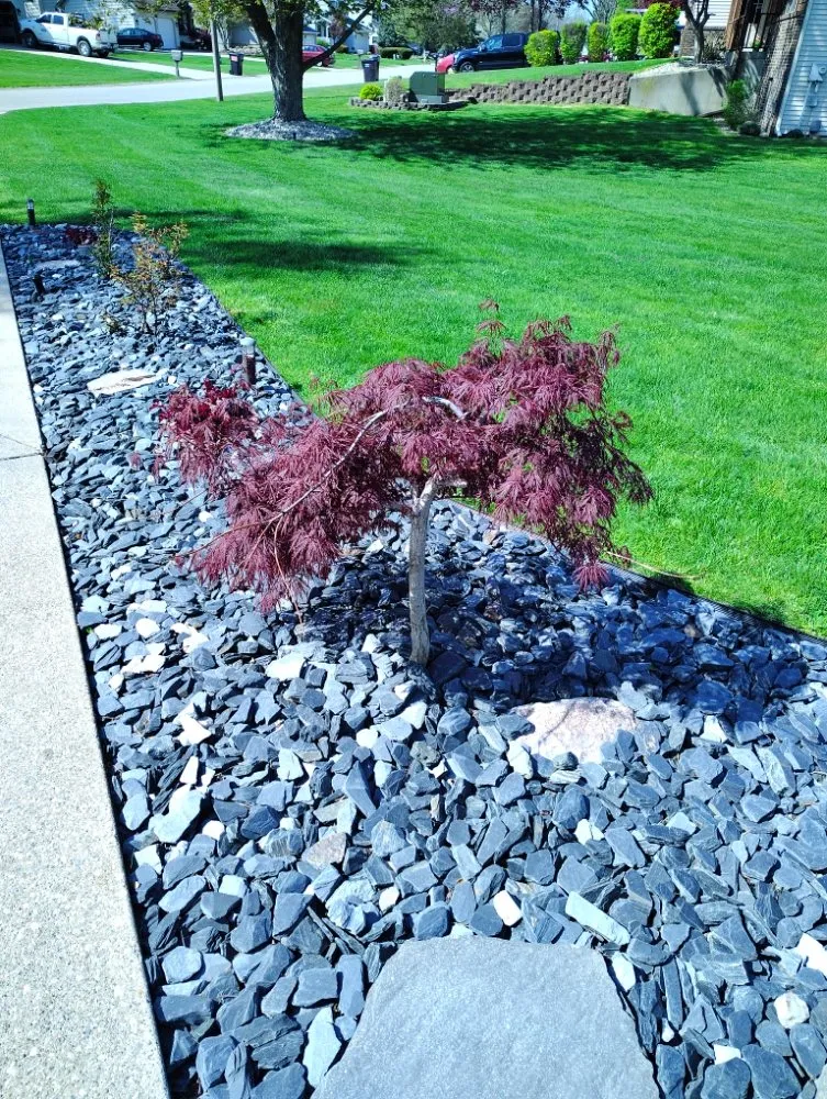 Reliable lawn care service in Holland, MI by Vega Landscaping & Lawn Care