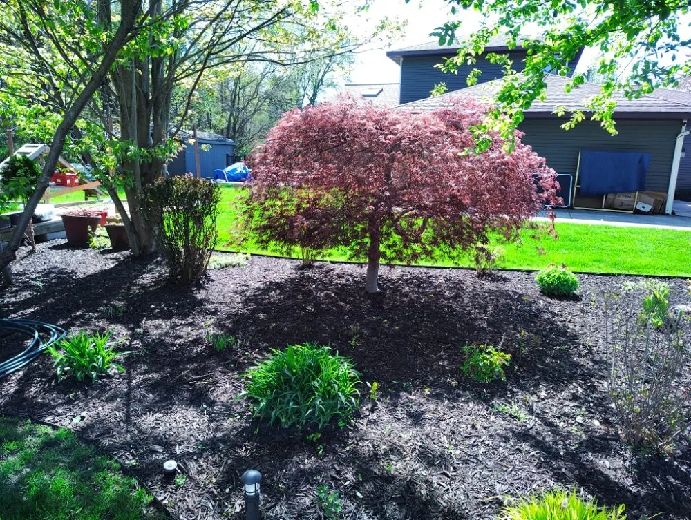 Local landscaping services experts serving Holland, MI - Vega Landscaping & Lawn Care