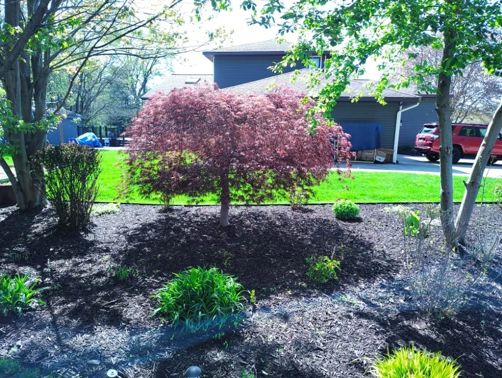 Professional lawn mowing service in Holland, MI - Vega Landscaping & Lawn Care