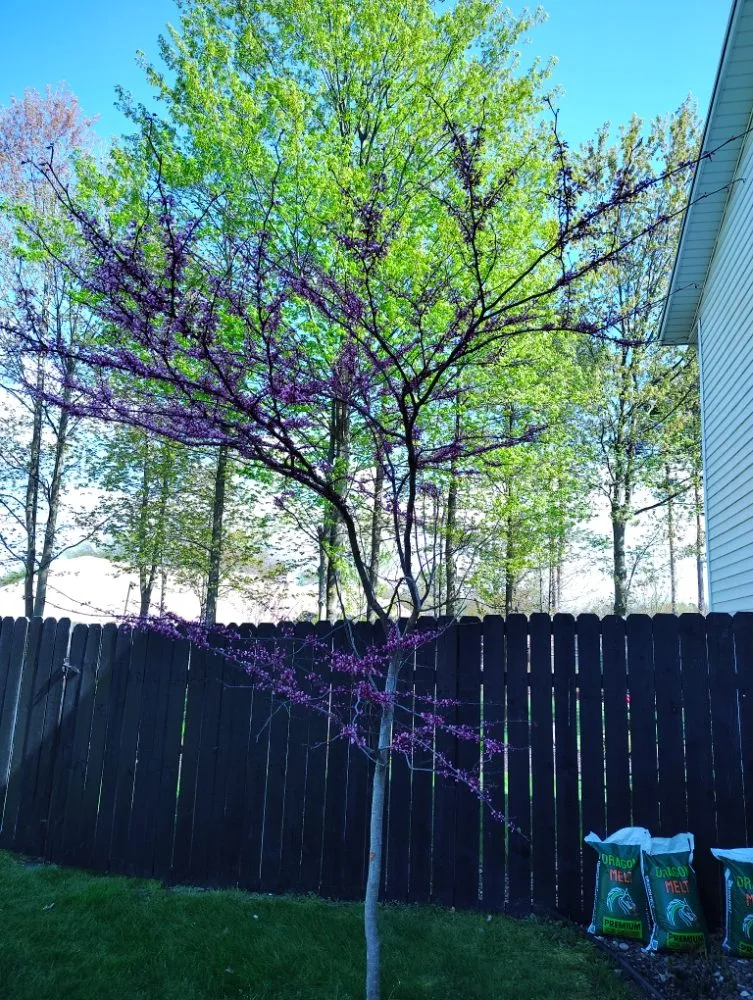 Trusted lawn mowing service in Holland, MI by Vega Landscaping & Lawn Care