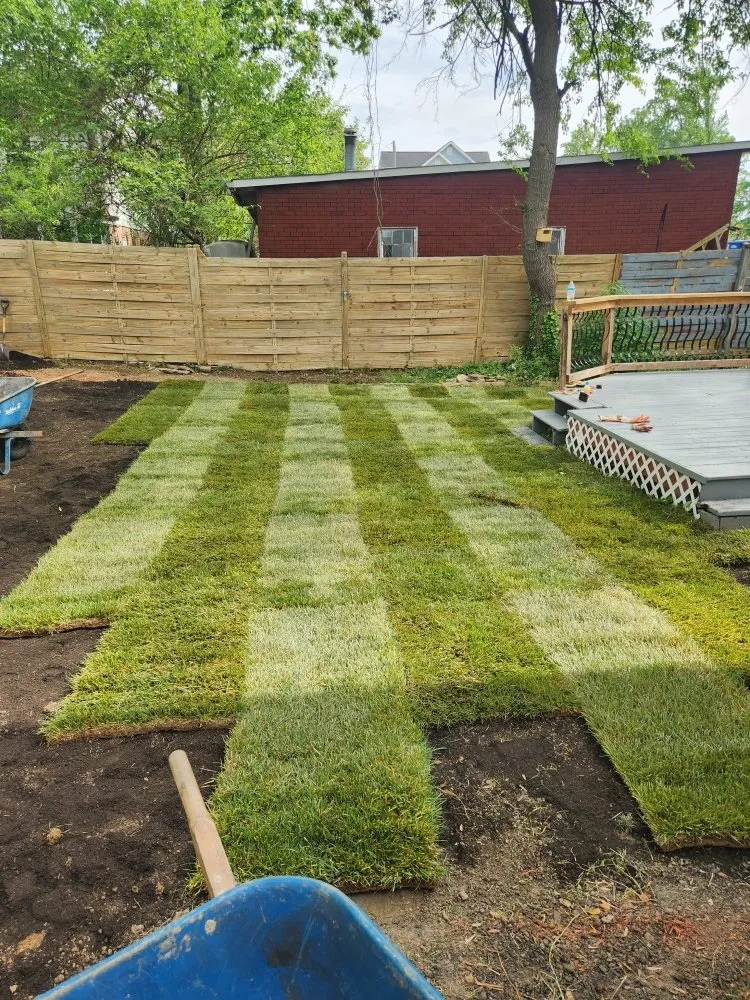 Custom residential landscaping for year-round maintenance across Fairfax, VA - Vega Landscaping