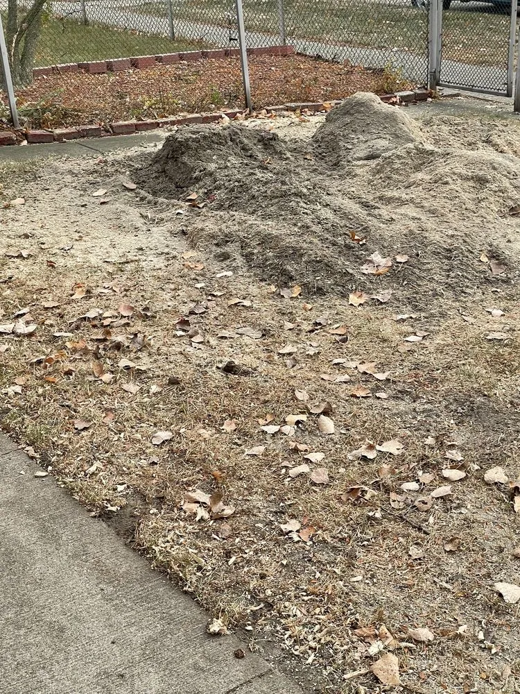 Top-rated landscaping services for year-round maintenance in Farmington Hills, MI by Vega Landscaping