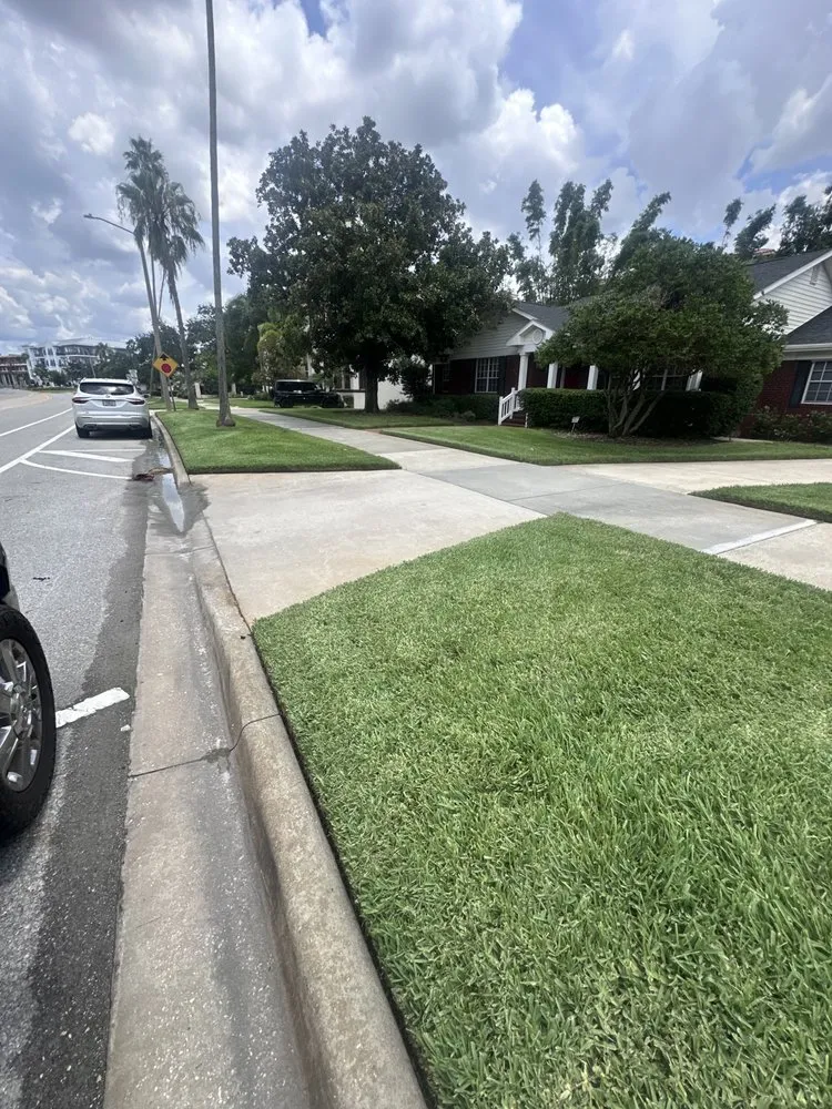 Top-rated lawn mowing service near you in Tampa, FL by Vega Lawn Service