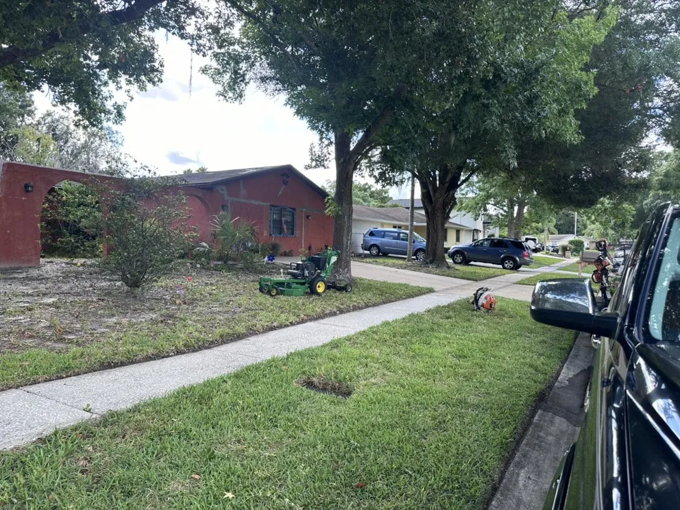 Professional residential landscaping for year-round maintenance across Tampa, FL - Vega Lawn Service