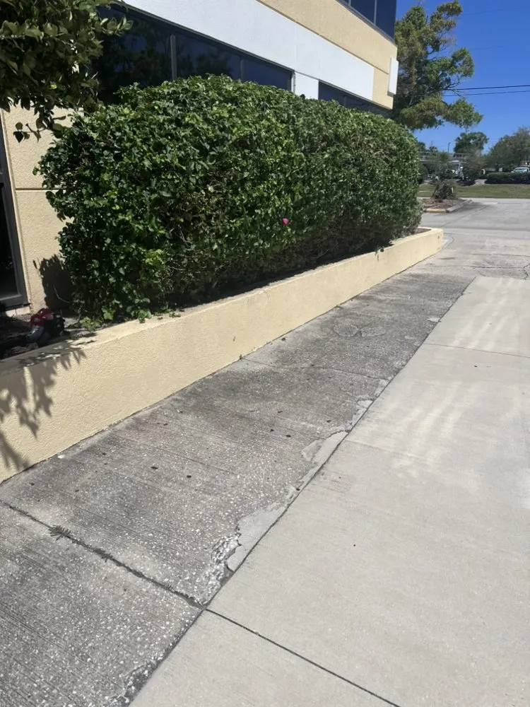 Top-rated lawn mowing service in Tampa, FL - Vega Lawn Service