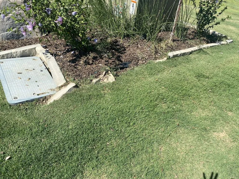 Expert garden landscaping for beautiful yards across Denton, TX - Vega Pool's & Spa Remodeling