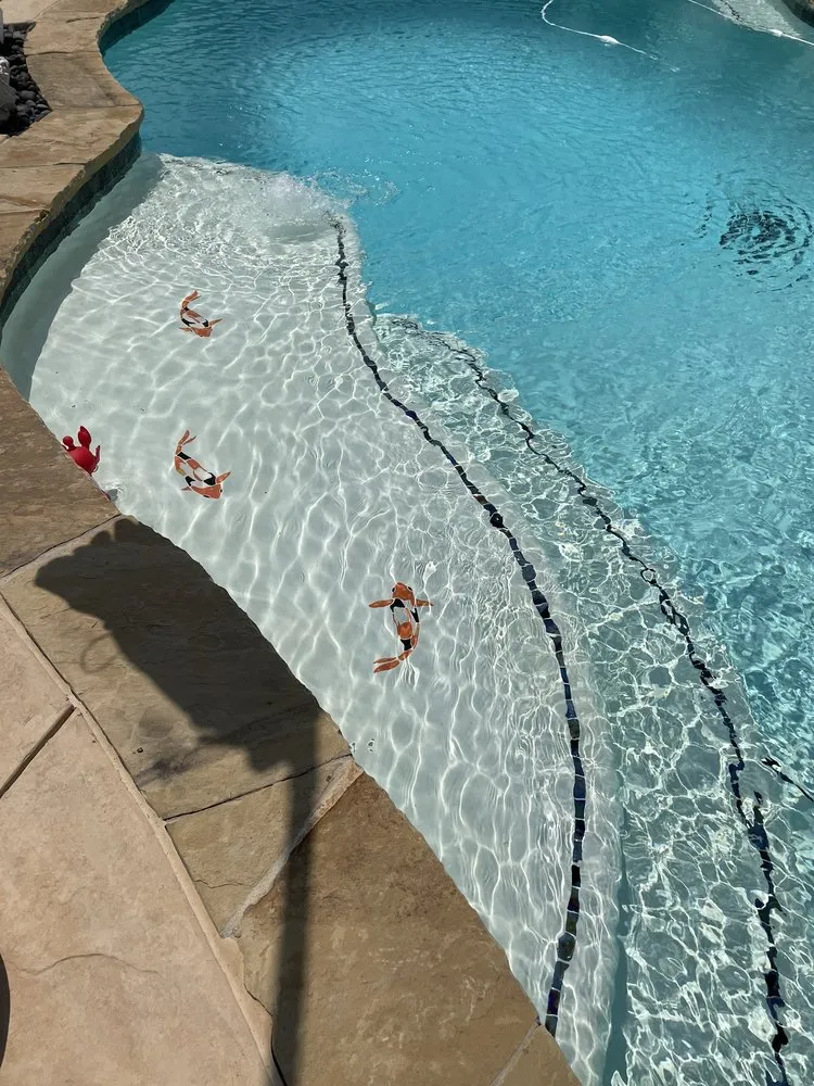 Trusted residential landscaping experts serving Denton, TX - Vega Pool's & Spa Remodeling