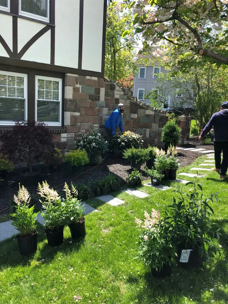Local yard cleanup service in West Orange, NJ - Vega Pro Services