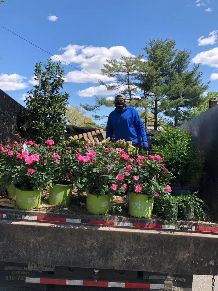 Professional yard cleanup service for year-round maintenance in West Orange, NJ by Vega Pro Services