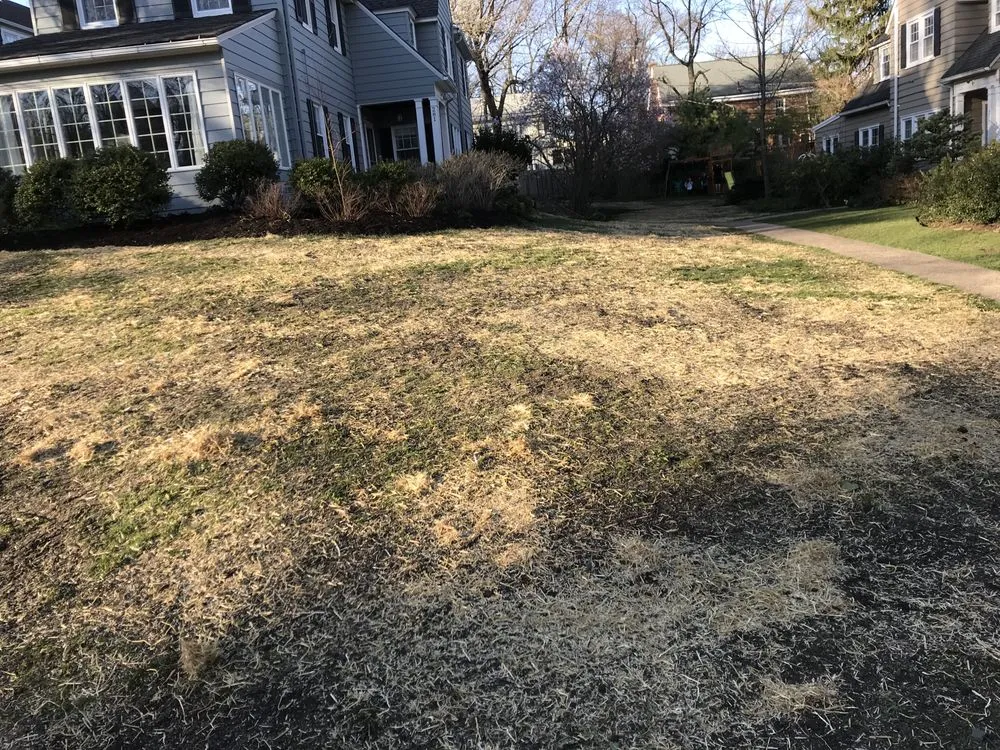 Professional garden landscaping with custom design across West Orange, NJ - Vega Pro Services