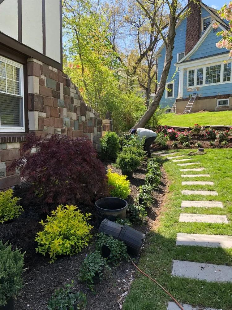 Reliable yard maintenance in West Orange, NJ by Vega Pro Services