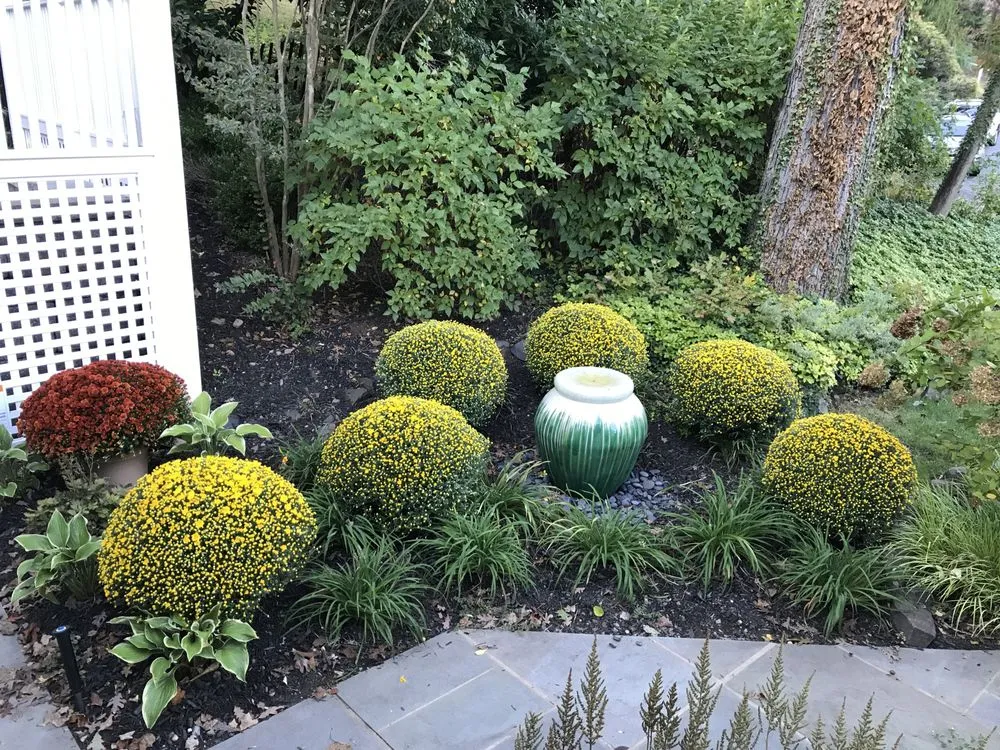 Top-rated outdoor landscaping for beautiful yards in West Orange, NJ by Vega Pro Services