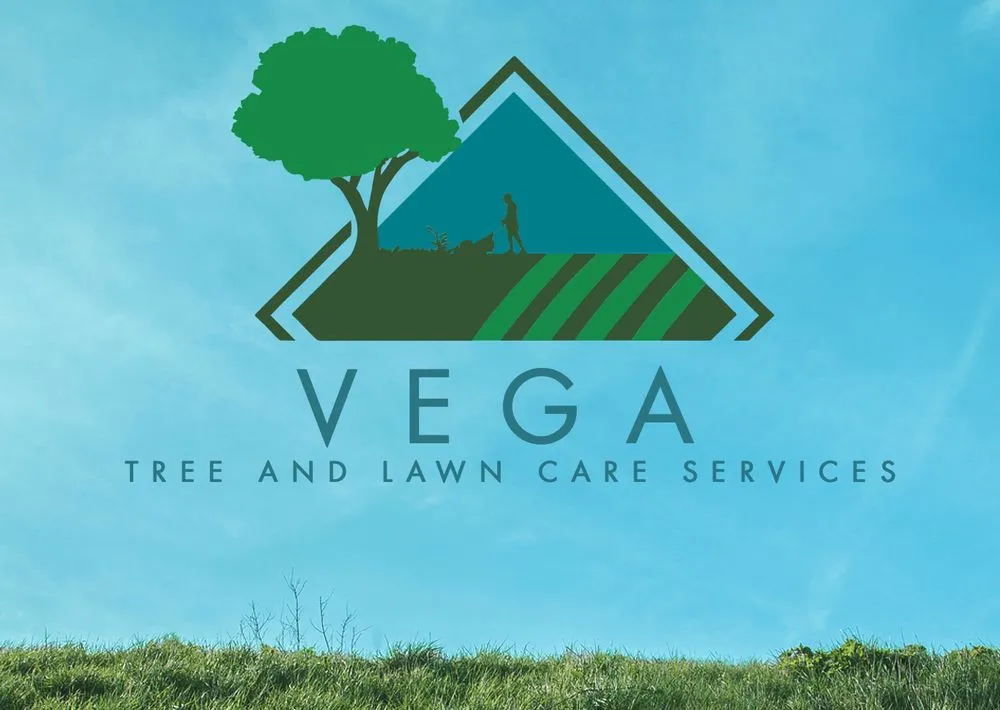 Local landscape design for outdoor upgrades in Pawtucket, RI by Vega Tree and Lawn Care